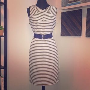 Brand New Ann Taylor Nautical Dress Size 14P
